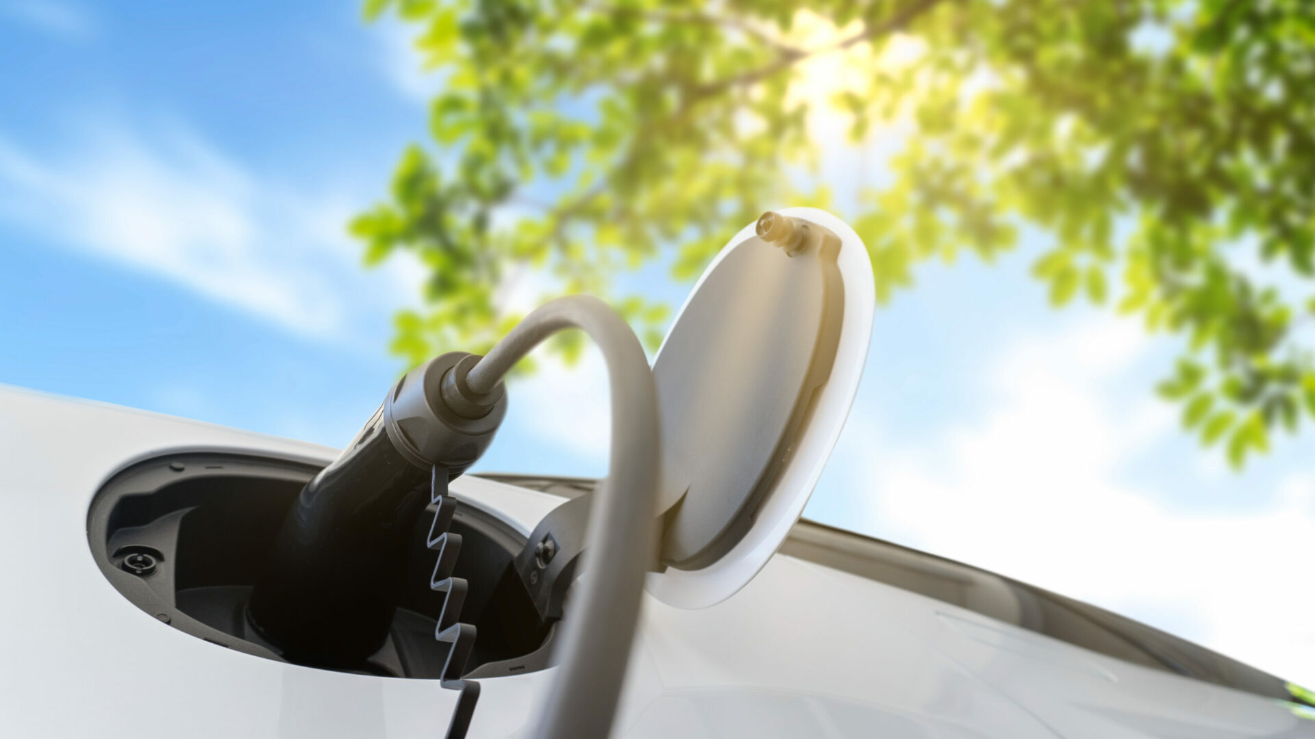Elektroauto im Grünen