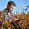 Bio-Lebensmittel Landwirtschaft 2024: Nachhaltigkeit, Herausforderungen und Chancen