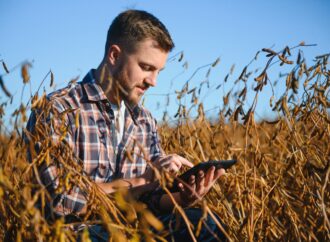 Bio-Lebensmittel Landwirtschaft 2024: Nachhaltigkeit, Herausforderungen und Chancen